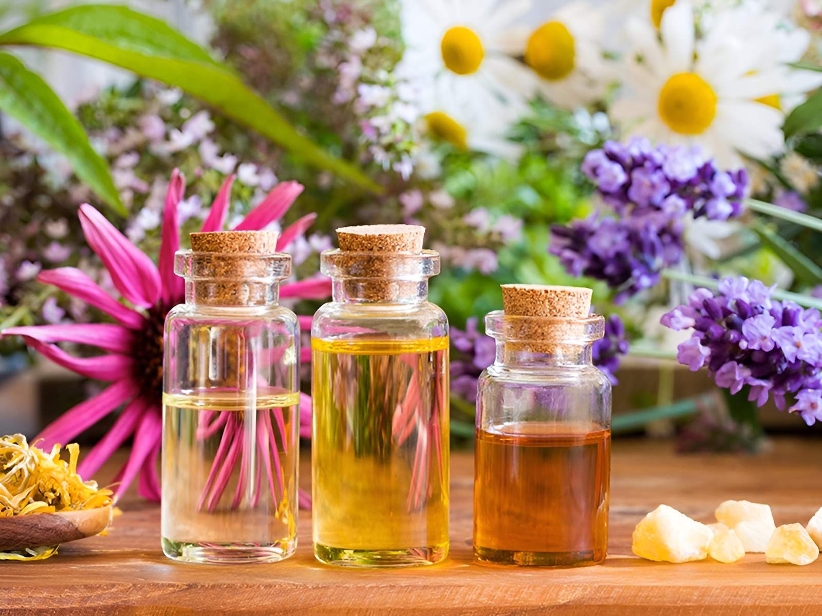 Naturopathie Rouen