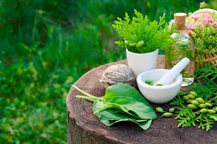 Cabinet de naturopathie à Rouen
